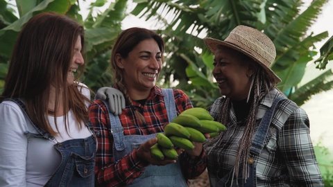 Happy female farmers having fun working in banana plantation - Farm people lifestyle concept 