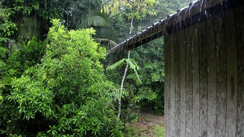 Rain is falling down on a tin roof of a wooden shed in the backyard, the many rain drops of cause a muddy stream of water in the background