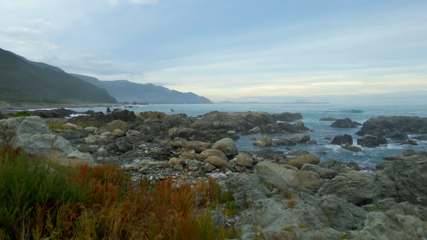 Small birds flying around wild rocky beach on Kaikoura coast in New Zealand