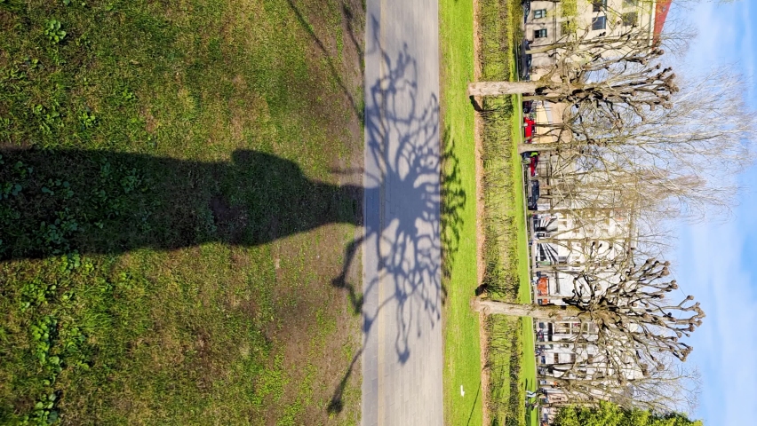 Shadow from a tree in a city park in spring. Silhouette of the shadow of a tree without leaves on the path of the park. Cars and passers-by on the street. Riga, Latvia