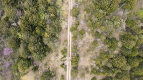 Top Aerial video of a lonely empty forest road. Birds eye view.