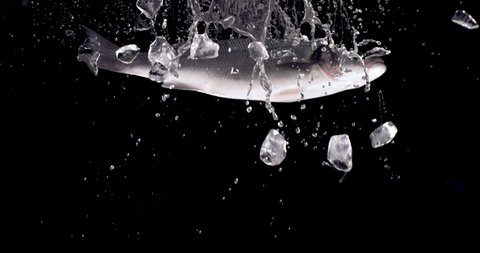 SUPER SLOW MOTION Raw salmon fish flying along with ice cubes and water drops on black background. Shot with high speed camera, 420 FPS