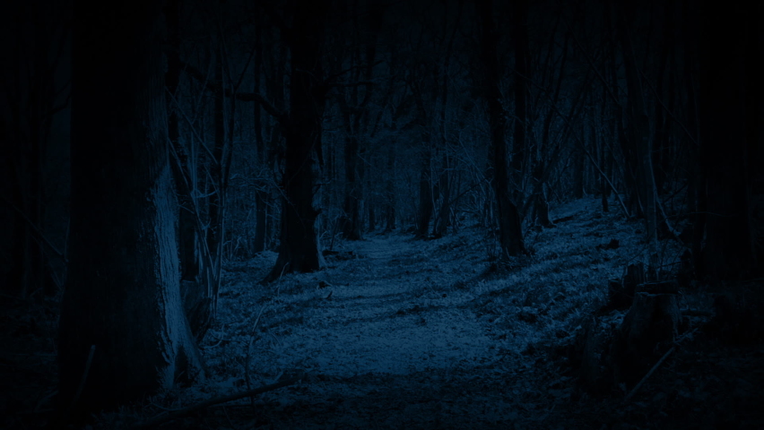 POV Monster Moves Through Woods At Night Royalty-Free Stock Footage #1071223447