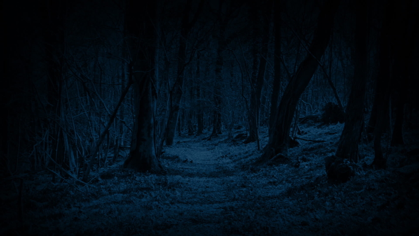 POV Monster Moves Through Woods At Night | Shutterstock HD Video #1071223447