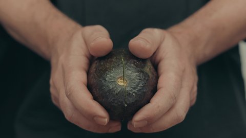 Close up of male hands opening avocado fruit in half with brown seed inside