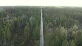 Following a car in front view from a drone flying in it's driving direction over a autumn colored forest. 4K footage
