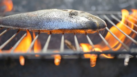 large fish is grilled on a wire rack. The fire burns in slow motion. Dolly shooting. Gray background. Copy space