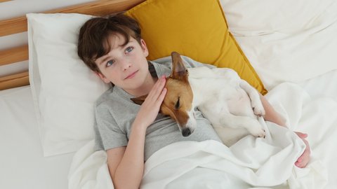 Happy boy hugs dog Jack Russell Terrier smiling is lying in bed morning on white blanket. Child dog plays emotionally. Childhood. Pets. Care attention love for pets. Top view. Feeling Happiness. Relax