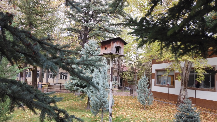 A beautiful birdhouse in autumn