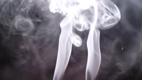 Abstract white smoke isolated on white background, Close up.