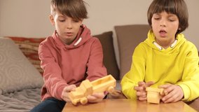 Boys talk to the camera, gesticulate, discuss the problem of consumerism and an excess of toys in modern children. The two brothers starting their own personal video blog with discourses on life. 