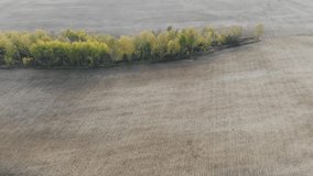 Flight over a cultivated agricultural field. The video was shot from a drone. In the midst of autumn.