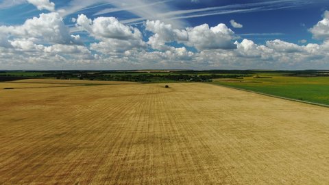 Aerial View of Wheat Field on Sunny Summer Day