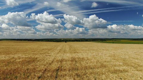Aerial View of Golden Wheat Field on Sunny Summer Day