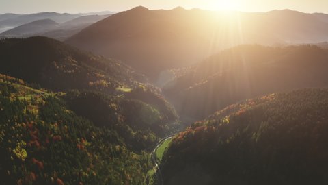 Aerial autumn forest at sun mountain range. Nobody nature landscape at fall season. Alpine village on mount valley. Sunrise rays through fog and clouds. North Italy Alps, Europe. Cinematic drone shot