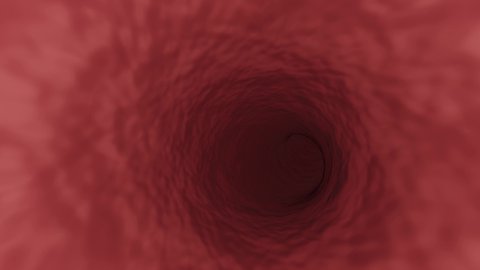 Blood vessel. Endoscopy of human organ. Biological tunnel. medical examination. Surgery. 3D animation. 3D render. Abstract background. Speedy motion. Seamless loop. 4K Ultra HD.