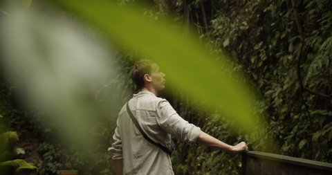 Hidden back view of a young adult male looking around in a tropical jungle. Obstructed view of a young man in the rainforest.