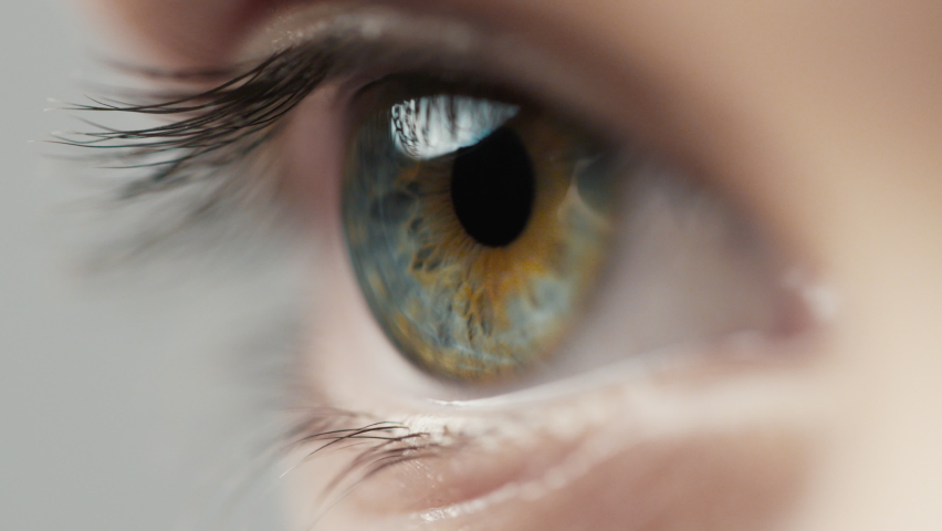 Eye Human with Beautiful Blue Brown Iris Macro Shot. Bright Beauty Female Open Eyes with Pupil Dilation. Extreme Close-up Girl Clear Looking Forward. Contracting Kid Eye Iris on Light. View Concept 4k | Shutterstock HD Video #1071329497