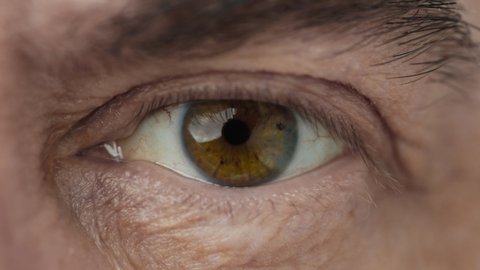 Eye Human with Beautiful Brown Iris Macro Shot. Bright Beauty Old Male Open Eyes with Pupil Dilation. Extreme Closeup Mature Clear Looking Forward. Contracting Older Eye Iris on Light. View Concept 4k