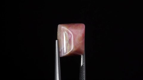 natural pink opal gemstone in the tweezer on the background