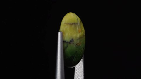natural green opal gemstone in the tweezer on the background