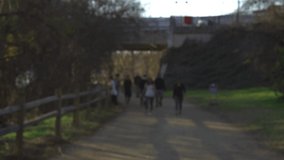 Blurry out of focus Video of People on trail in Austin Texas video, people exercising cycling and running 