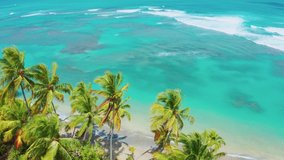 The tropical nature of a paradise island. Aerial view of the palm beach and turquoise sea. Best beaches in the world stock video footage. A beach without people, copy space.