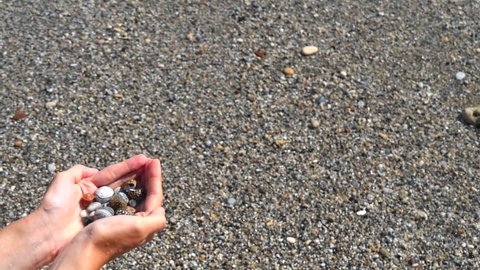 Small seashells lie on female hands against background of sea, water, waves, sea foam. Woman holds in hands full handful of small seashells, close-up. Concept of vacation, holidays. Slow motion video.