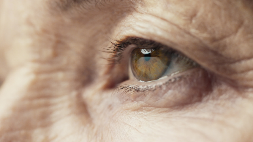 Old Eye Female with Beautiful Brown Iris Macro Shot. Bright Beauty Human Open Eyes with Pupil Dilation. Extreme Closeup Mature Clear Looking Forward. Contracting Older Eye Iris on Light. View Concept Royalty-Free Stock Footage #1071373774