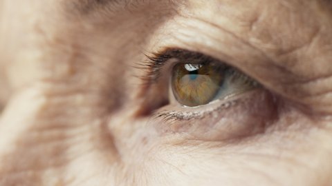 Old Eye Female with Beautiful Brown Iris Macro Shot. Bright Beauty Human Open Eyes with Pupil Dilation. Extreme Closeup Mature Clear Looking Forward. Contracting Older Eye Iris on Light. View Concept