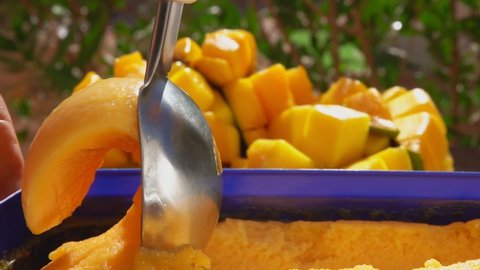 The spoon is scooping delicious frozen mango ice-cream gelato on the background of the fresh ripe delicious mango