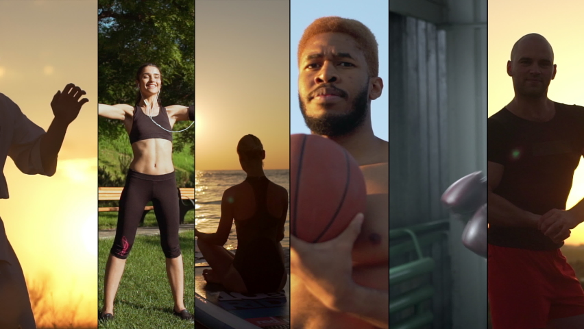 Shutterstock Video