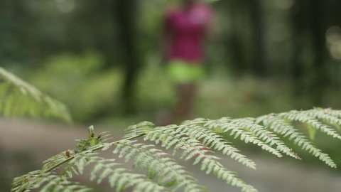 Look through the leaves of a fern, in the blurry background woman silhouette running