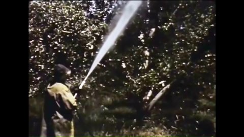 CIRCA 1950s - People whose jobs entail working around pesticides may be at risk in 1958.