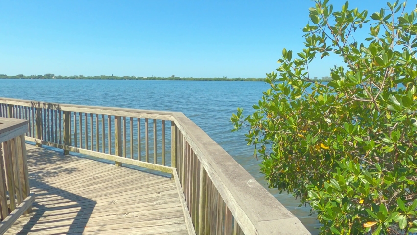 This is a video of a nature trail on a waterway in Southwest Florida. 