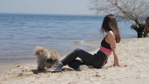 Young woman with long loose hair in top admires endless blue sea on beach and Shih tzu dog digs sand slow motion. Concept spring recreation
