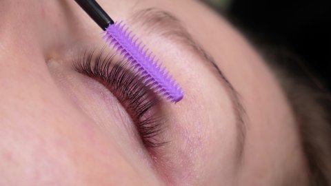 Hand of a master for extension and volumetric extension of long lush eyelashes combs the eyelashes with a brush. Woman with long lush eyelashes undergoes eyelash care procedure, close-up