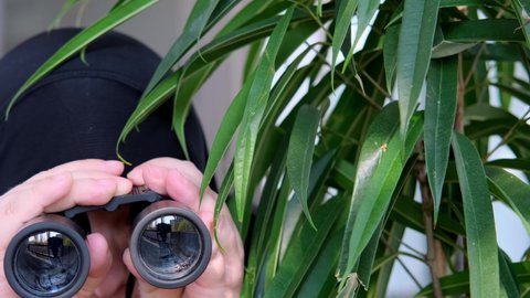 Spying neighbor Stock Video Footage - 4K and HD Video Clips Shutterstock