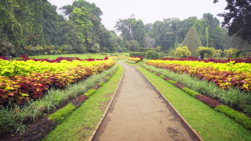 Peradeniya Royal Botanical Gardens Stock Video Footage - 4K and HD ...