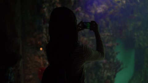 A young woman in the aquarium takes pictures of marine life on the phone. The girl looks at the swimming fish.
