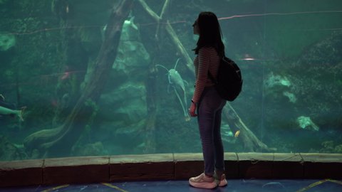 A young woman in the aquarium looks at the marine life. The girl looks at the swimming fish.