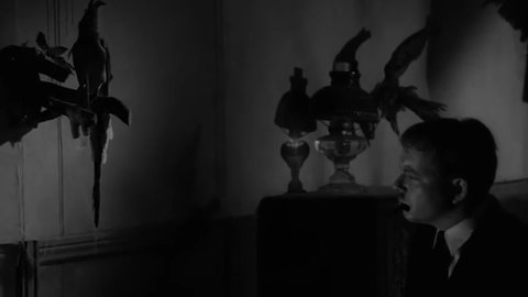 CIRCA 1964 - In this horror film, a man uses a flashlight to inspect walls filled with taxidermied birds and is startled by a living owl chasing rats.