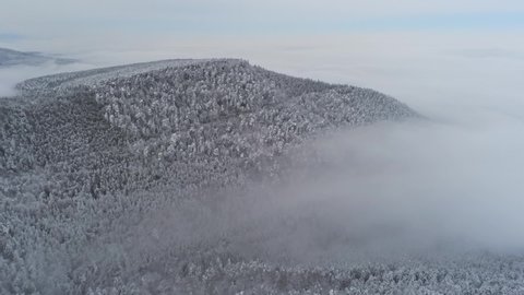 View of the snowy and foggy Vosges mountains in Alsace, France. 