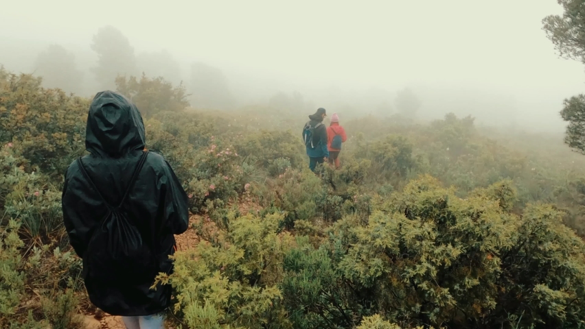 Hiking group walking up a foggy pathway in the mountain through grass fields and pine trees in the fog.  Sport group of people ascend to the top of the mountains.
