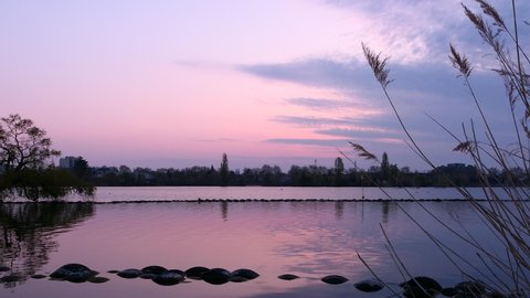 Pink sky at sunrise or sunset in blue hour. View on a lake in rural scene. Silhouette of vegetation in the foreground.