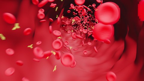 This motion graphic shows an animation of a blood vessel with antibodies and red blood cells present in the bloodstream (movement is upstream or against flow direction).