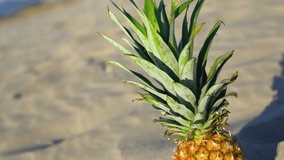 Tasty pineapple on the illuminated sand of the beach - Powered by Shutterstock - Get 15% off with code: PIKWIZARD15