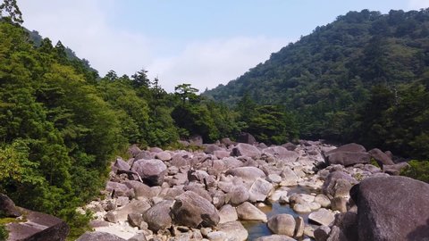 Rocky valley and Stream through Yakushima Island, Japan. Pan Establishing Shot
