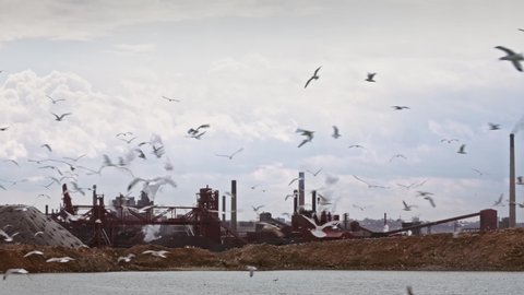 Steel Factory with thousands of flying seagulls. Smoke stacks and dead fish. Dystopian Medium Shot Filmed in Hamilton Ontario April 20th 2021
on 6k