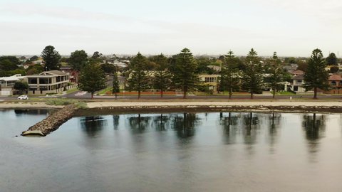 Calming morning reflections of tall treeline along the beach - Aerial dolly shot, low height